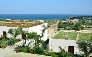 The green along the pathways and on the roofs contrasts with the cool geometric shapes of the buildings. © egreen / ZinCo Extensive green roofs surrounded by olive trees